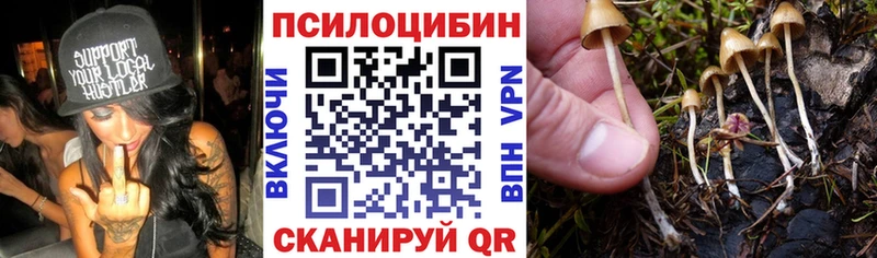 OMG ссылки  площадка официальный сайт  Галлюциногенные грибы Magic Shrooms  Юрга 